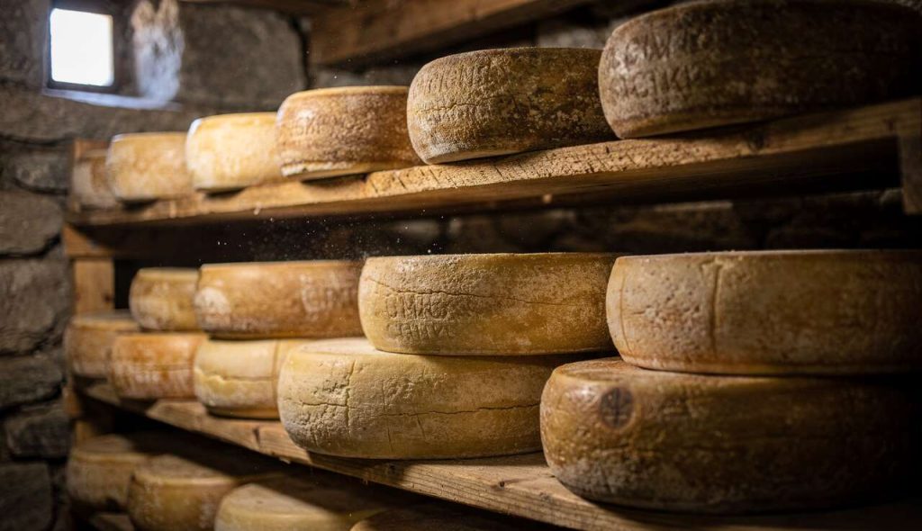 Tout sur le Comté : fromage aux multiples saveurs